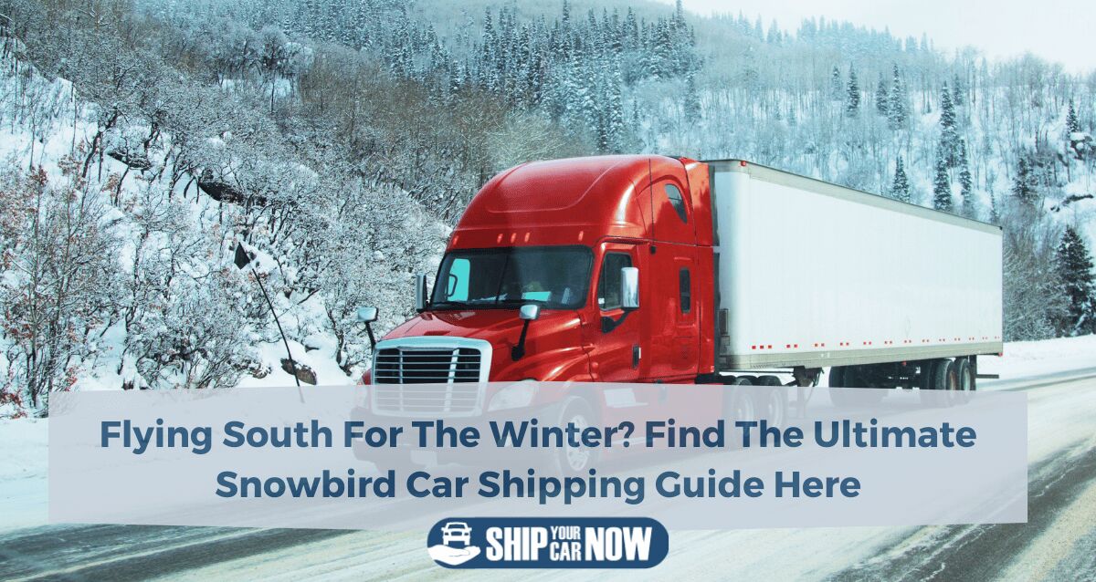 Snowbird car shipping