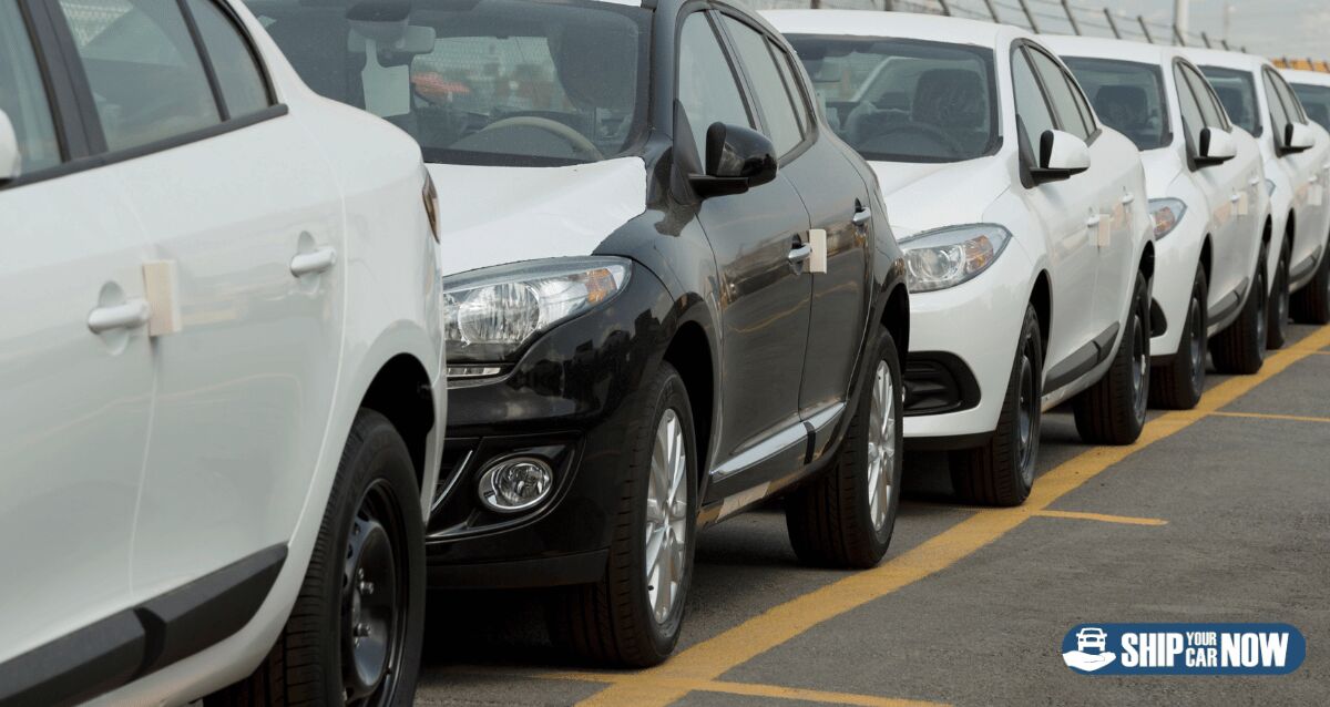 International Car Shipping for Global Moves
